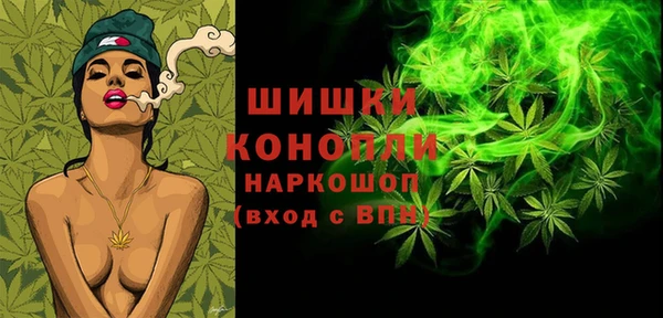ГАЛЛЮЦИНОГЕННЫЕ ГРИБЫ Краснослободск