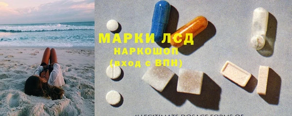 ГАЛЛЮЦИНОГЕННЫЕ ГРИБЫ Краснослободск